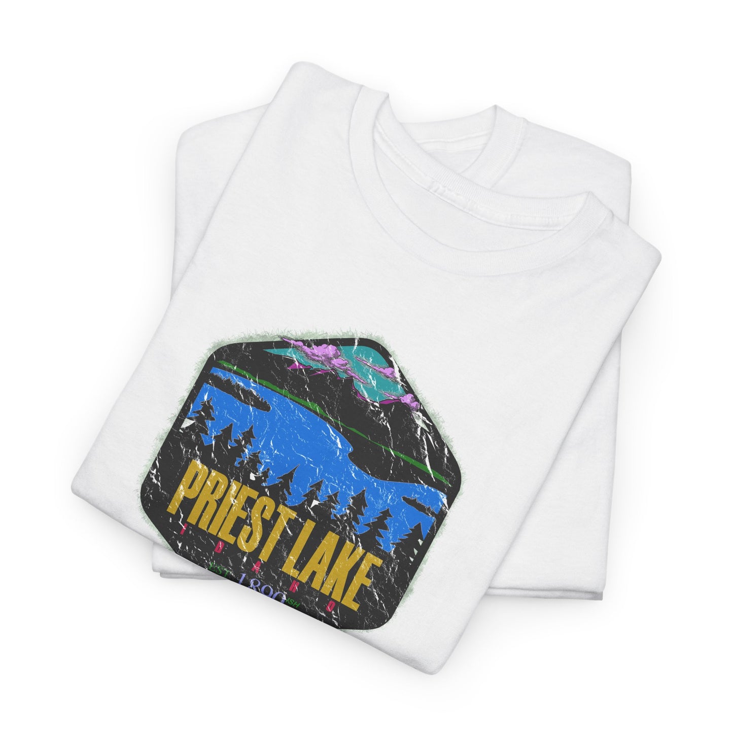 Priest Lake State Park Classic T-shirt