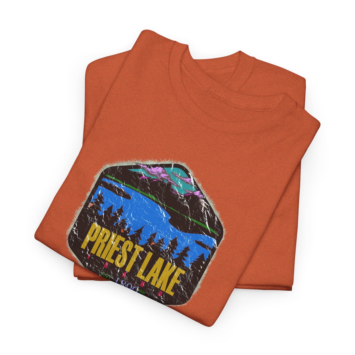 Priest Lake State Park Classic T-shirt