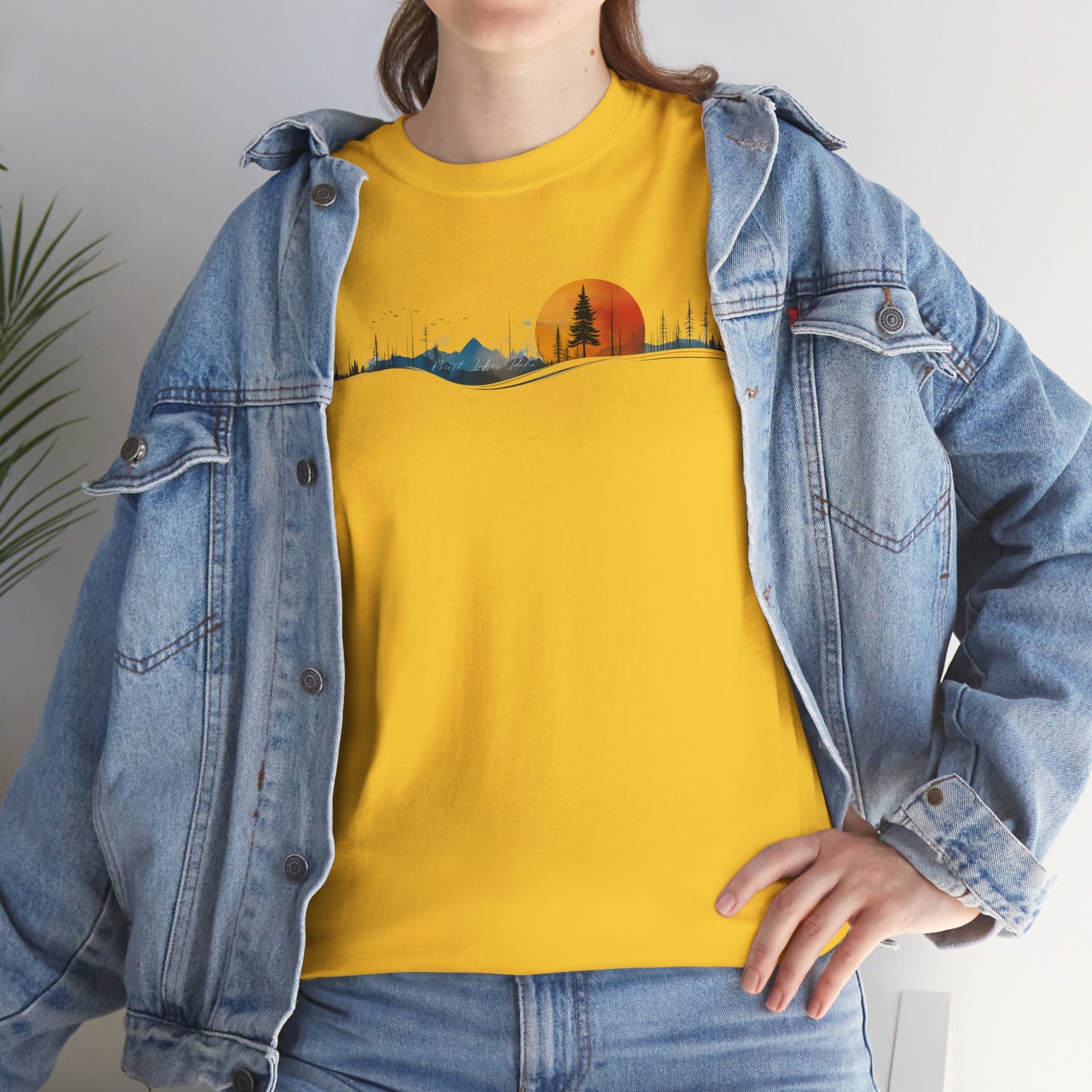 Priest Lake Natural Geometry 2 T-shirt