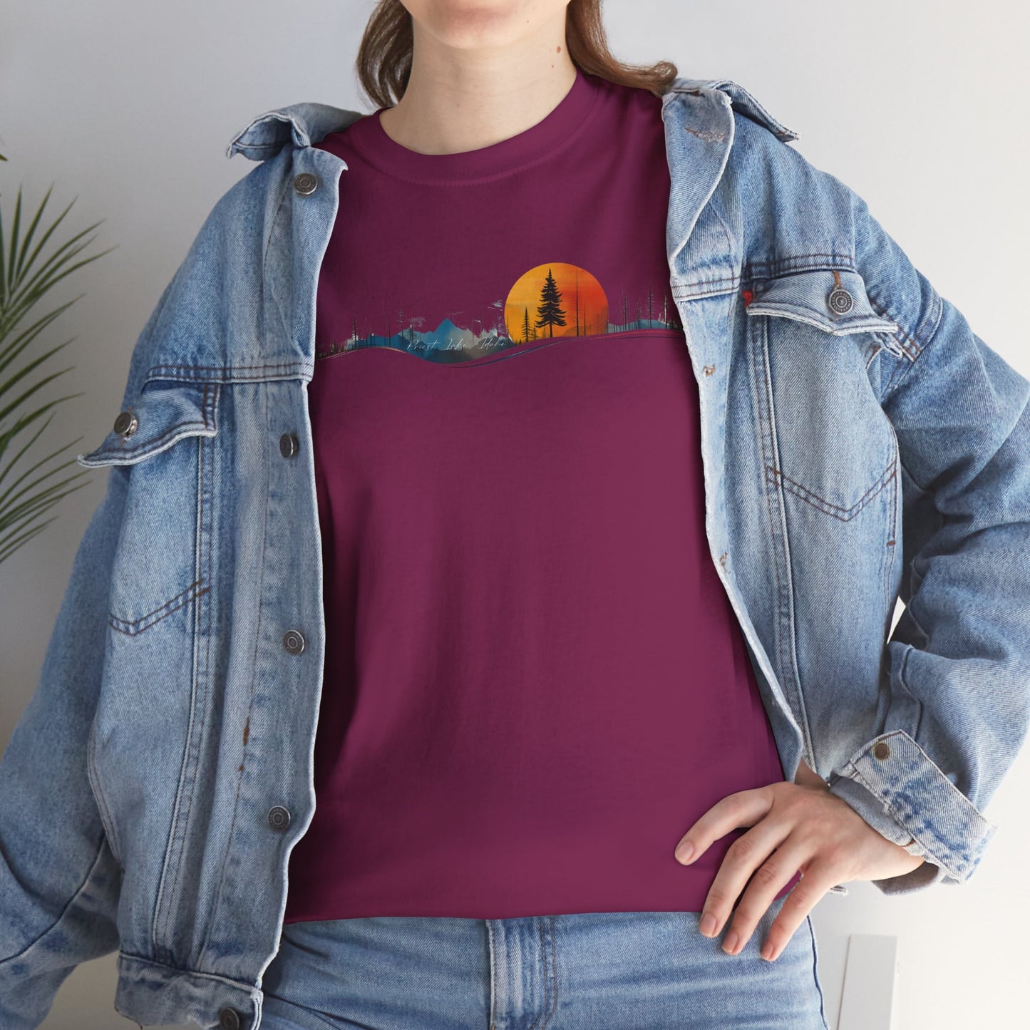 Priest Lake Natural Geometry 2 T-shirt