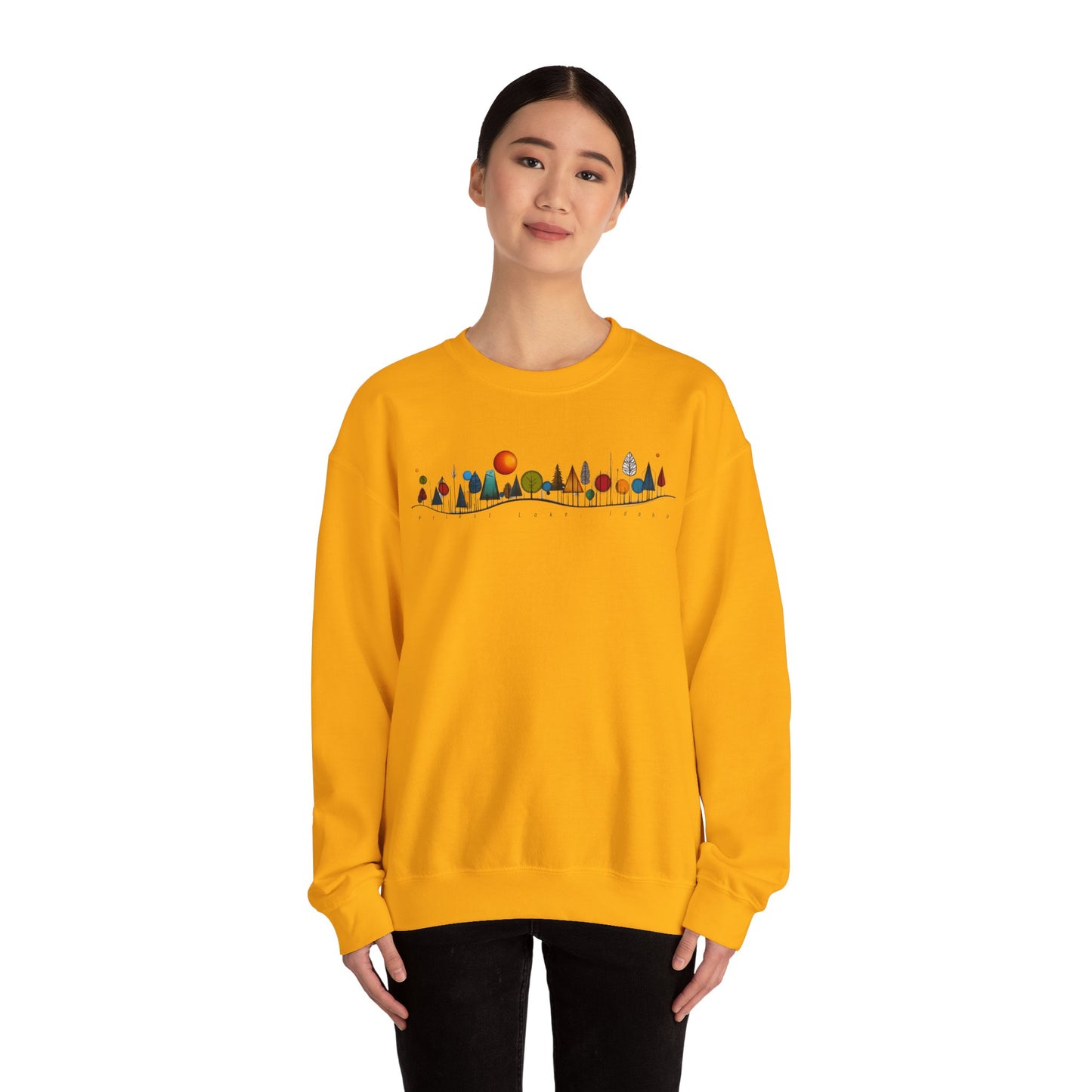 Priest Lake Geometry 5 Heavy Blend™ Crewneck Sweatshirt