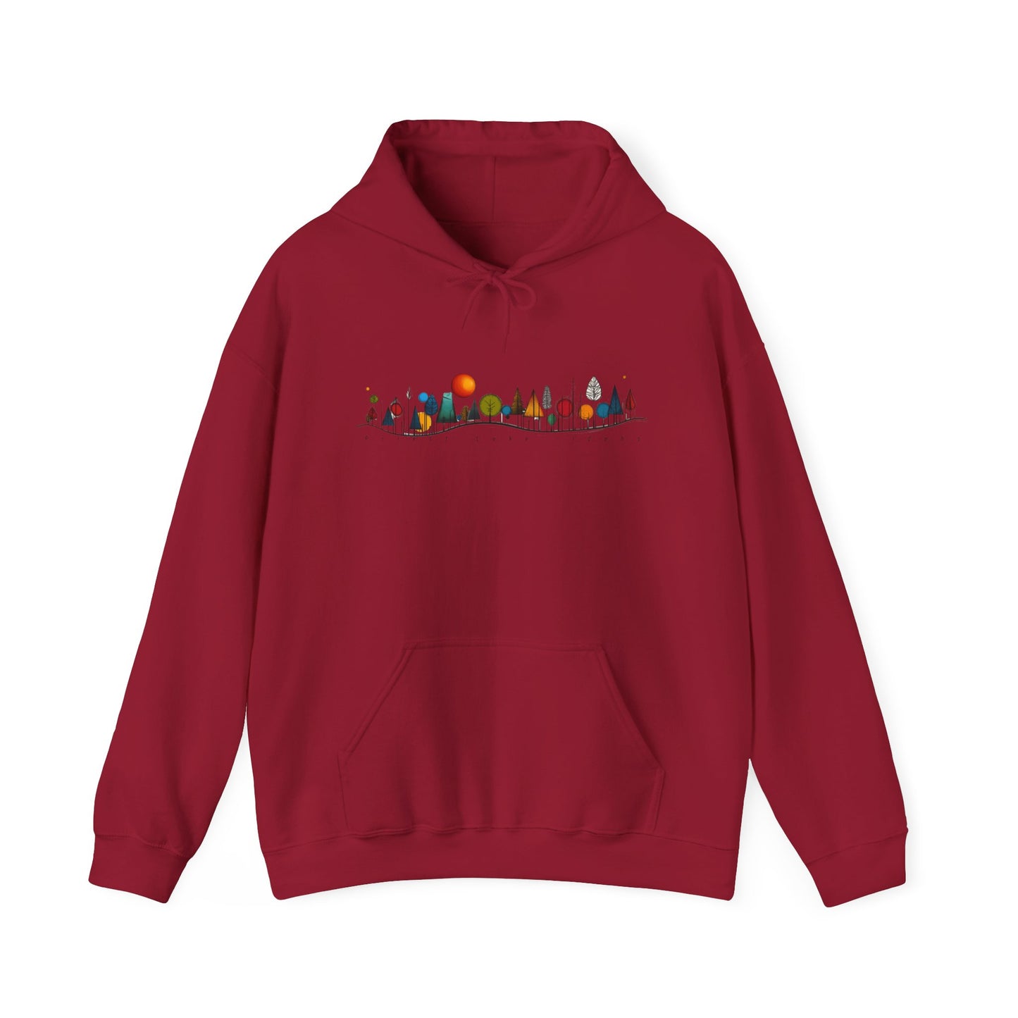 Priest Lake Geometry 5 Hoodie