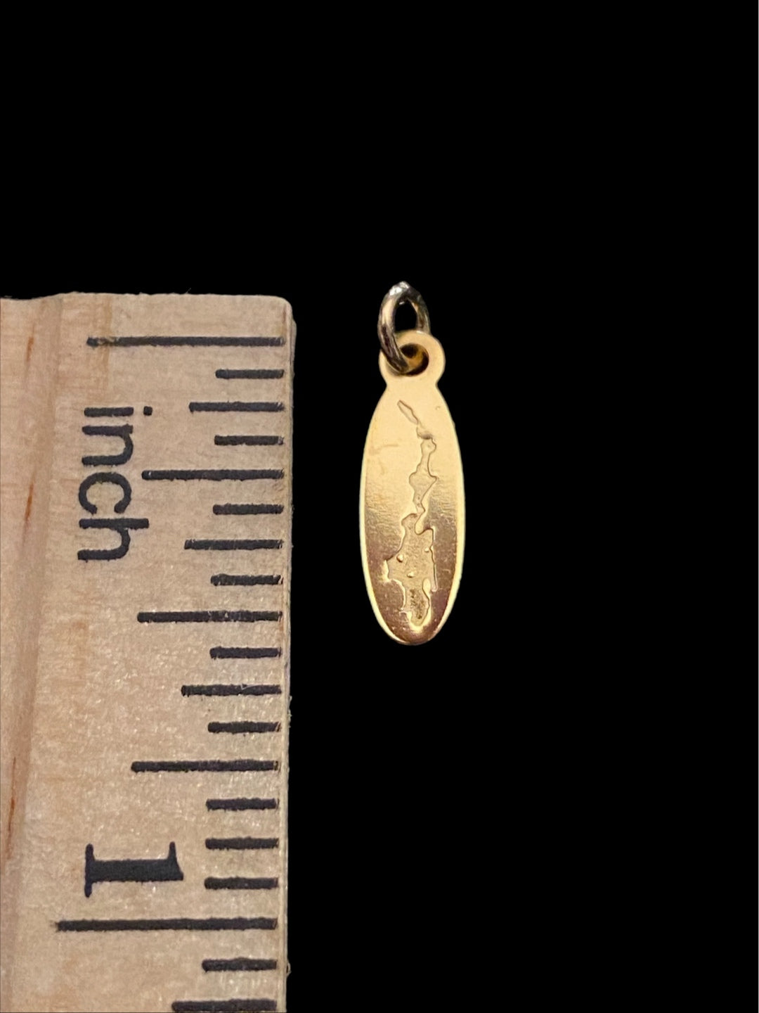 Priest Lake Pendant in 14k Gold with 18"Chain